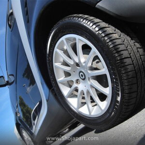 لاستیک سواری دولتی